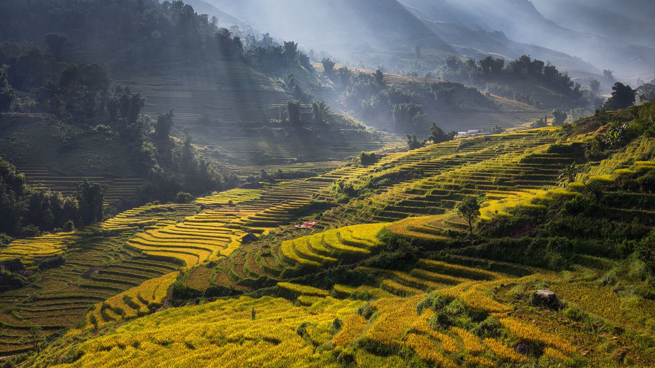 The Ultimate Guide to a Mountainbike Tour Sapa: Conquering the Roof of Indochina